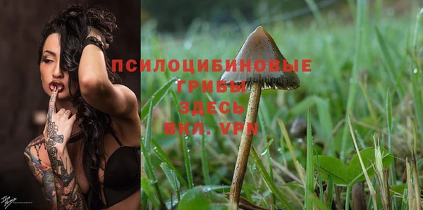 винт Балахна