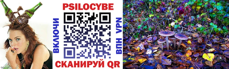 Галлюциногенные грибы Psilocybine cubensis  Короча 