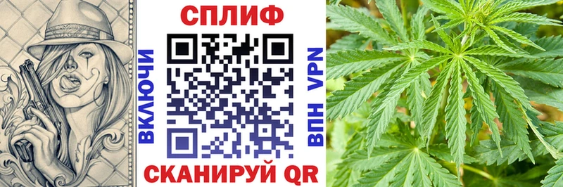 Марихуана ГИДРОПОН  mega как зайти  Короча 